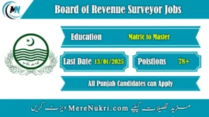 Board of Revenue Surveyor Jobs