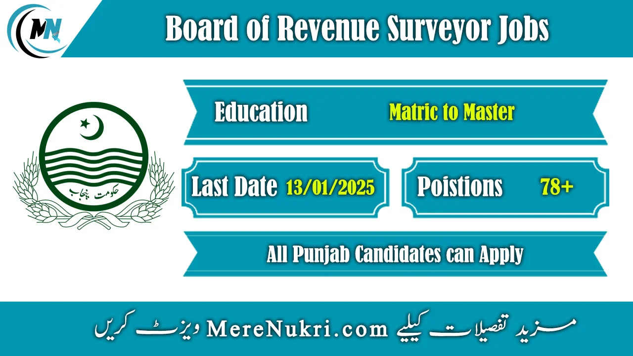 Board of Revenue Surveyor Jobs