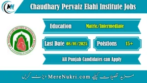 Chaudhary Pervaiz Elahi Institute Jobs