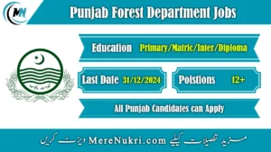 Punjab Forest Department Jobs