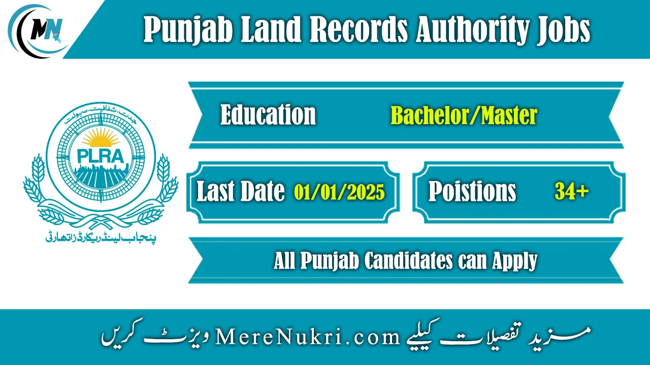 Punjab Land Records Authority Jobs