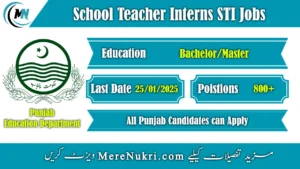 School Teacher Interns STI Jobs