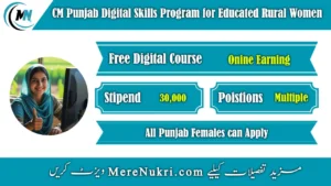 CM Punjab Digital Skills Program