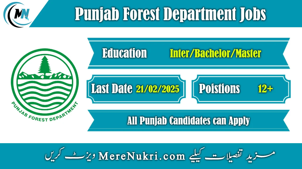 Punjab Forest Department Jobs