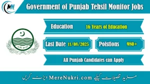 Government of Punjab Tehsil Monitor Jobs