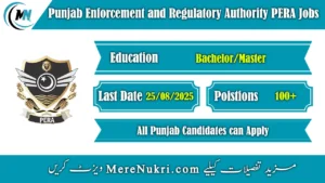 Punjab Enforcement and Regulatory Authority PERA Jobs